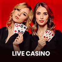 24D Spin