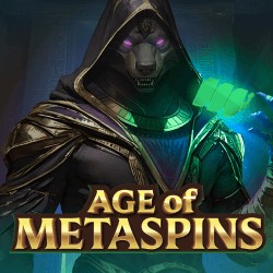 Age of Metaspins